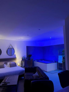 Le 37 - Appartement privatif avec Jaccuzi